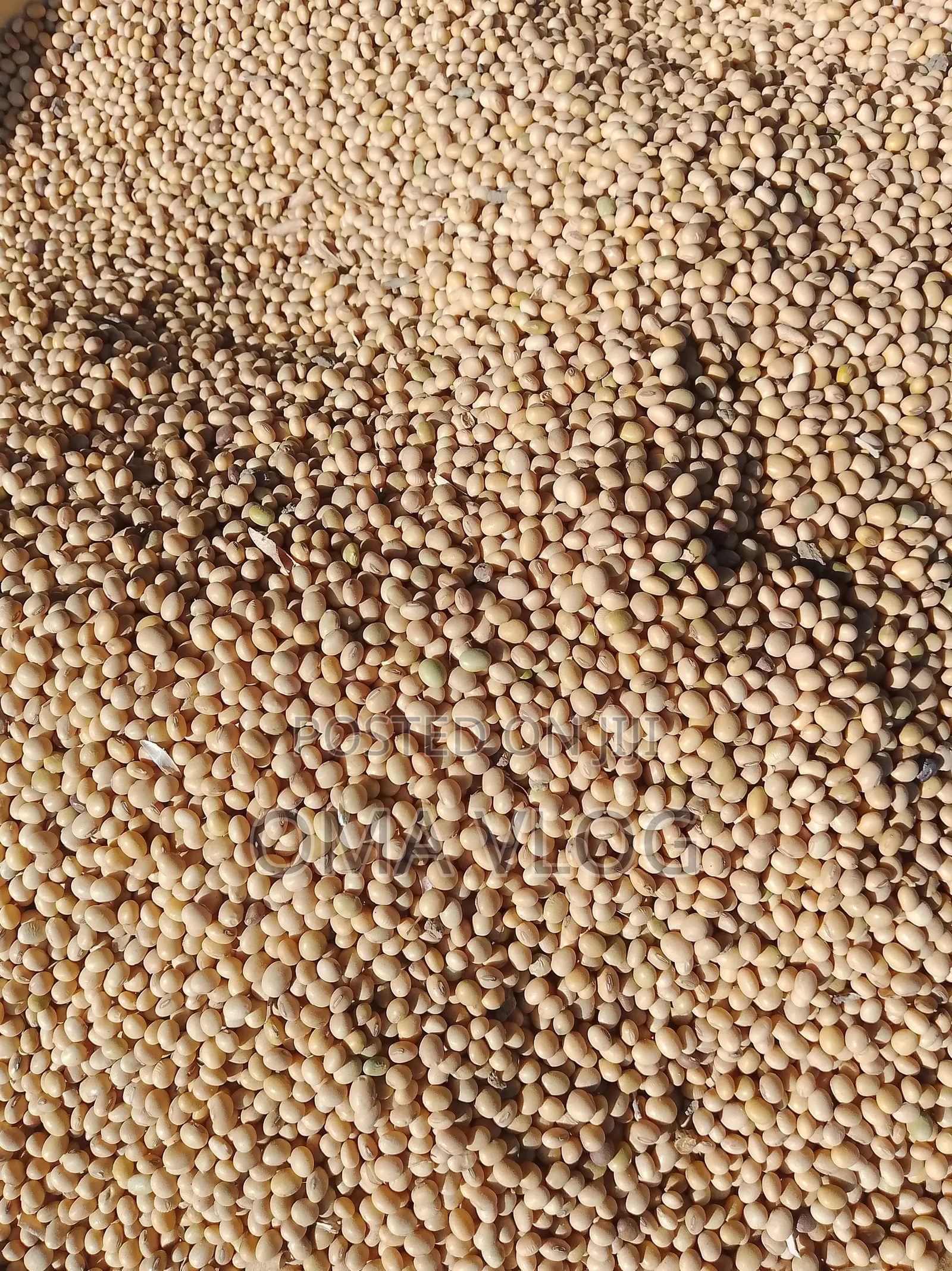 Agricultural Commodities