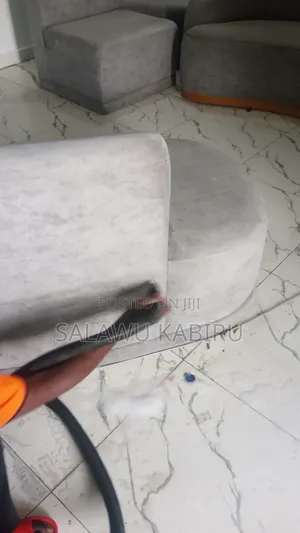 Couch Cleaning Service