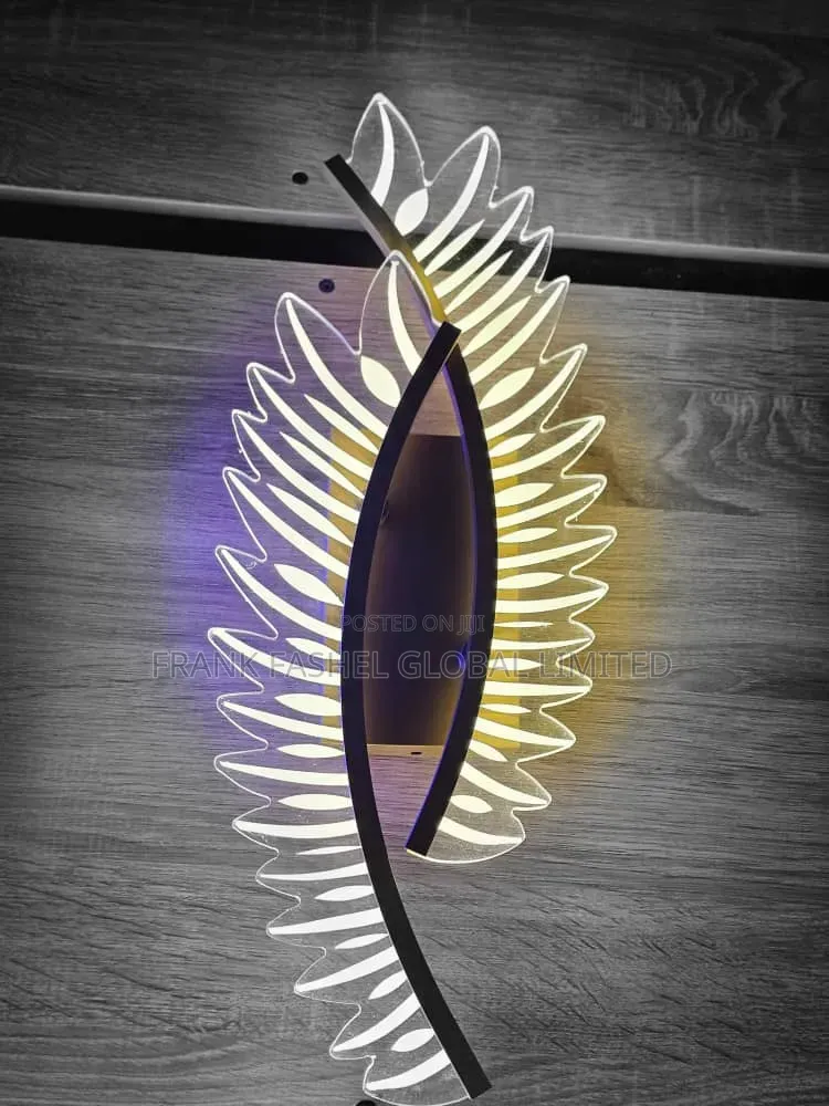 LED Wall Bracket