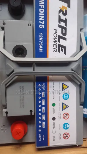 Original Car Battery