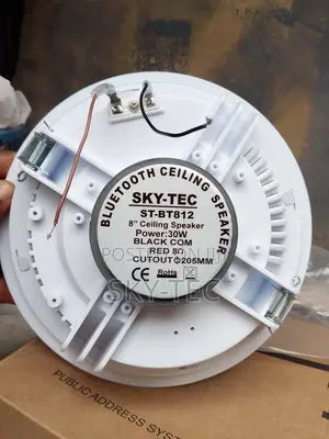 Sky-Tec 30watts Passive 8inches Ceiling Speaker Magnet