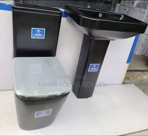 Mat Black Executive WC With Washing Hand Basin