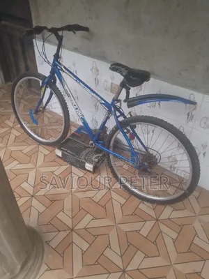 Bicycle 70