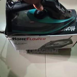 Original Steam Iron(1 Month Old)