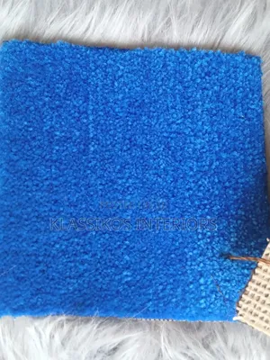 Wall to Wall Carpet for Floor
