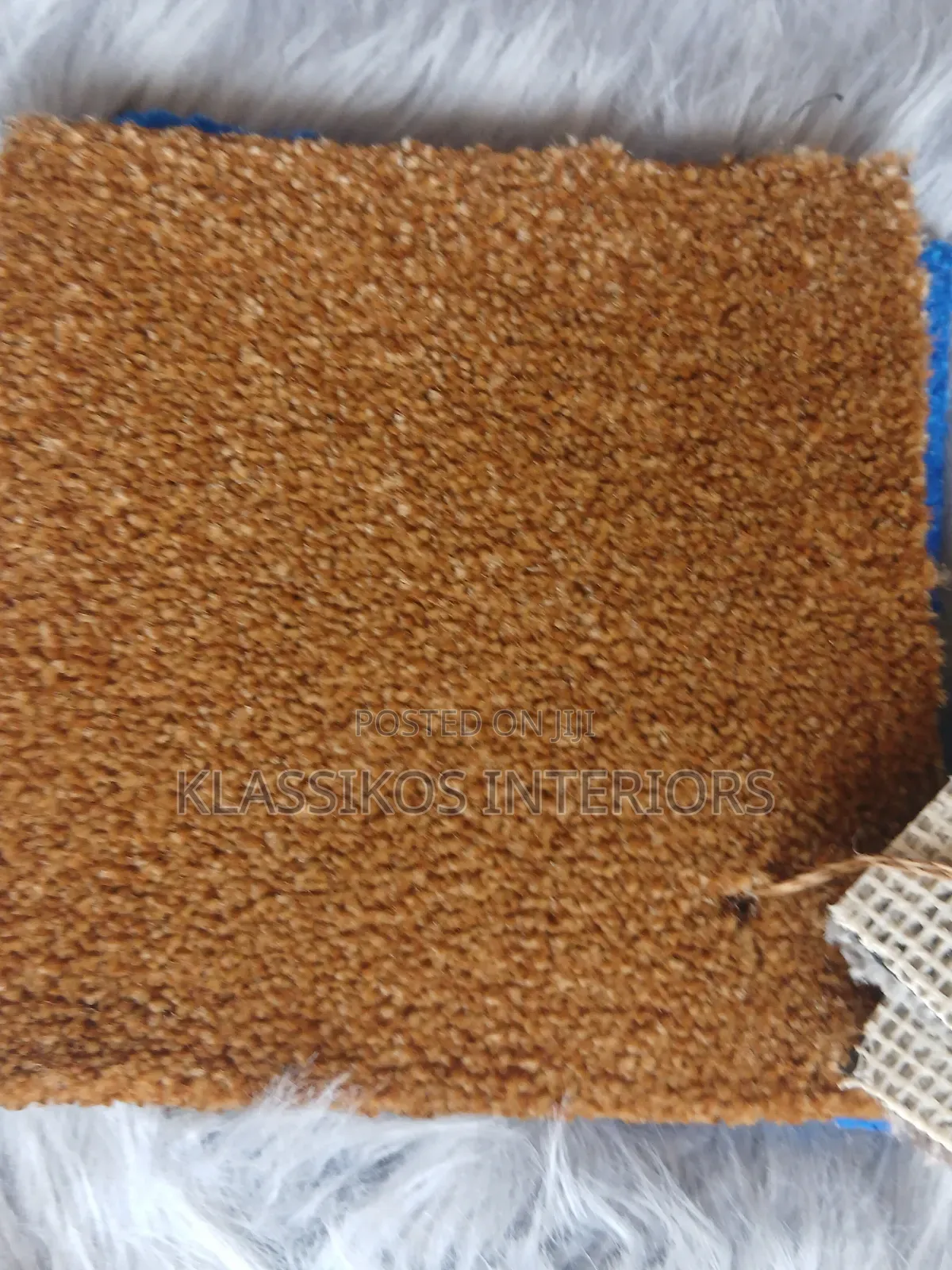 Carpet Rug for Your Apartment