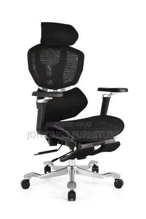 Mesh Ergonomic Office Chair With Footrest