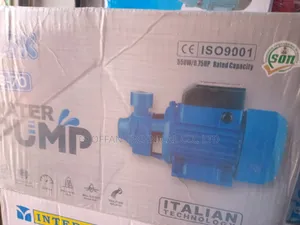 Surface Electric Water Pump
