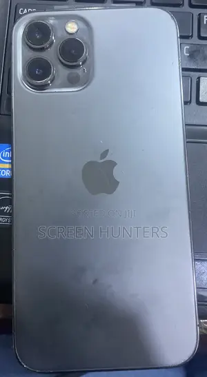 Apple iPhone 12 Pro Max 128 GB Gray