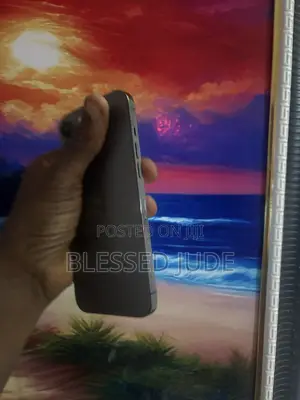 Apple iPhone 12 Pro Max 512 GB Gray