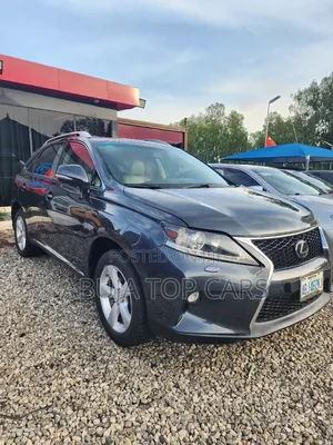 Lexus RX 350 2010 Gray