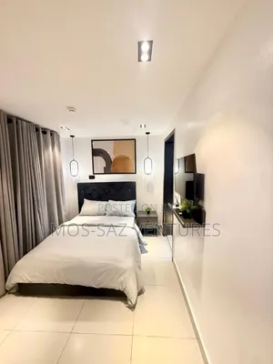 Furnished Studio Apartment in Ikoyi for rent