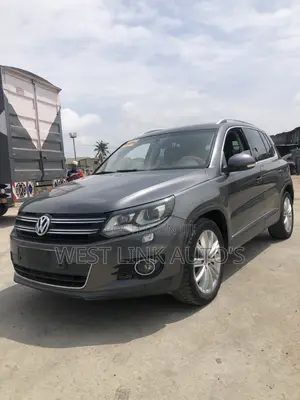 Volkswagen Tiguan SEL 2013 Gray
