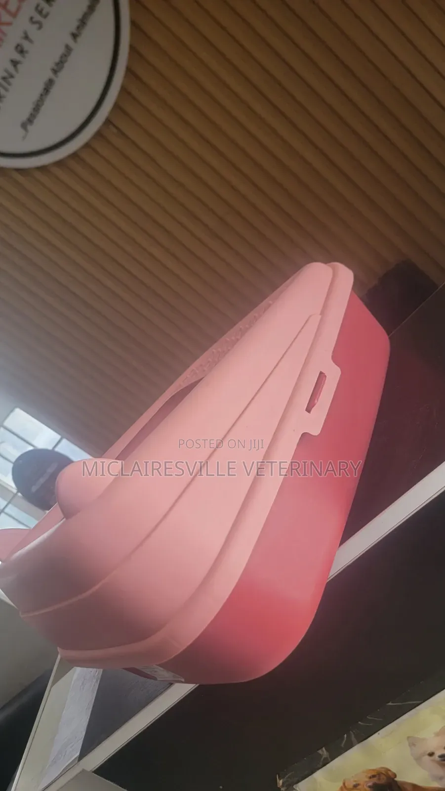 Plastic Cat Litre Box With Scoop