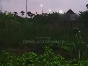 2 Plots of Land for Sale at Promise Land Estate, Army Range, Eneka.