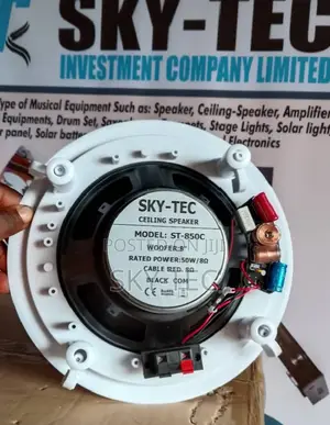Sky-Tec 30watts Passive 6.5inches Big Magnet Ceiling Speaker