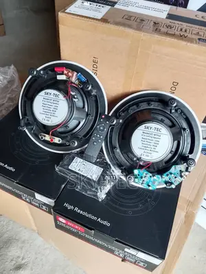 Sky-Tec 100w 1active 1passive Bluetooth Big Magnet Ceiling Speaker