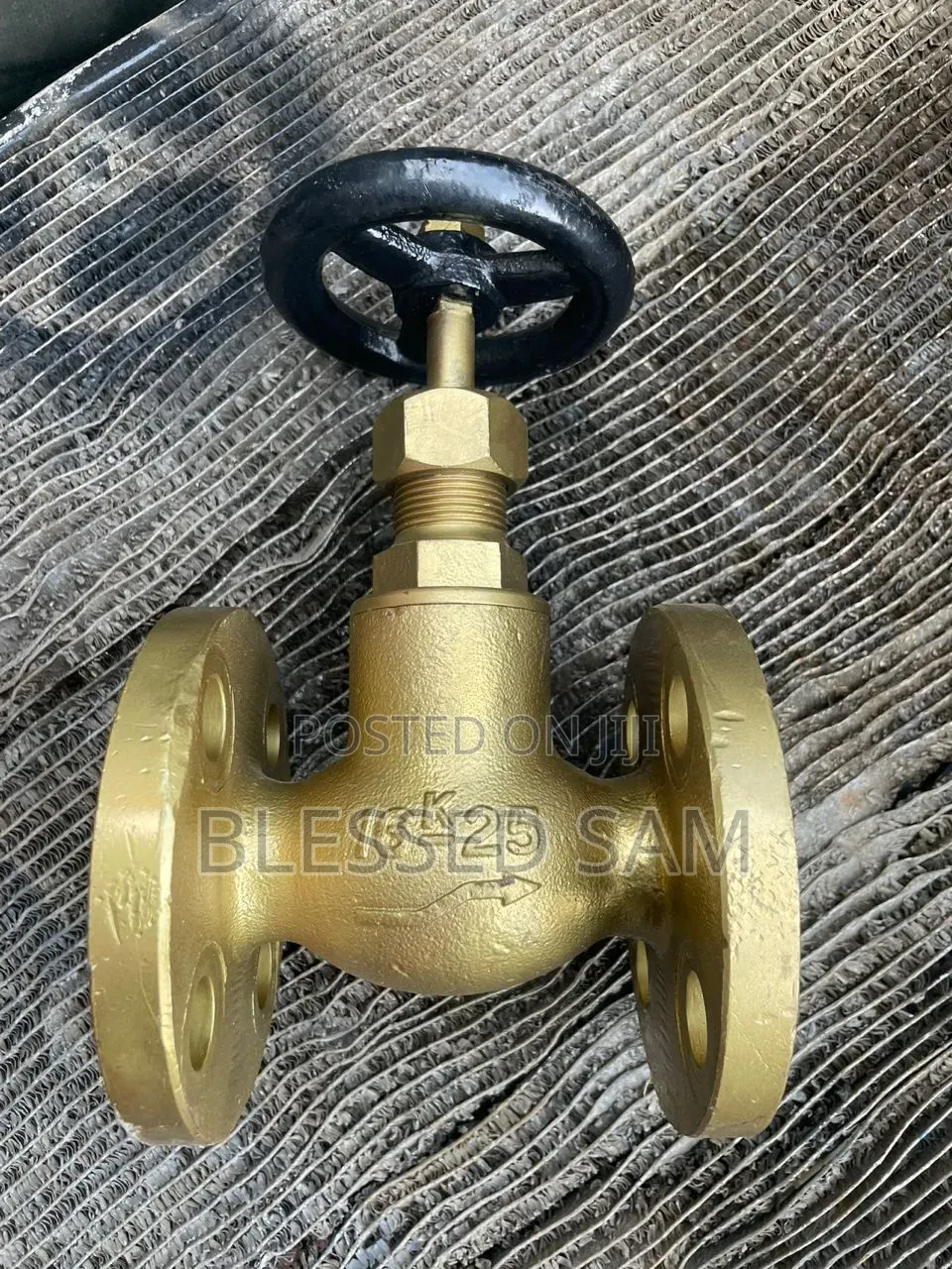 -25 Globe Valve Flanged