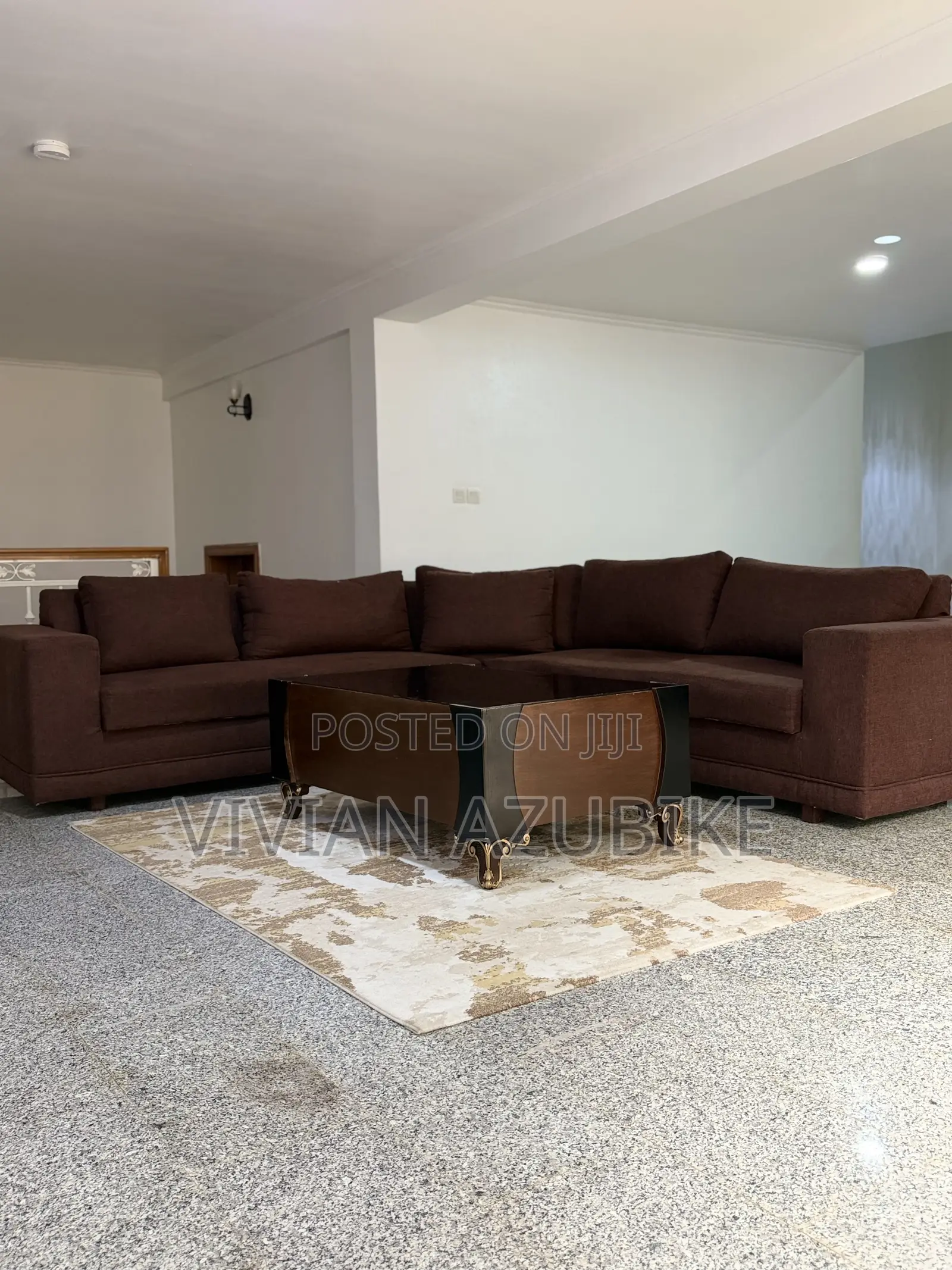 Imported Living Room Lounge Sofas