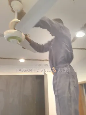 Professional Electrician