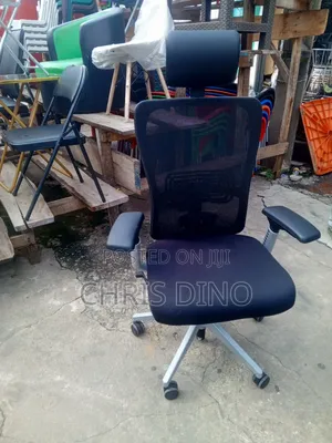 Executive Orthopedic Office Chair