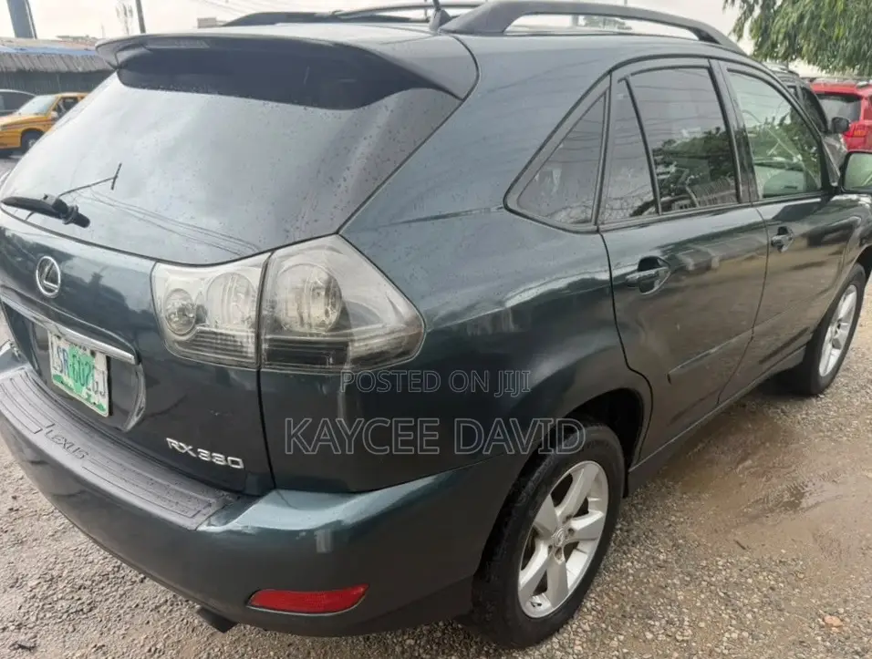 Lexus RX 330 2004 Gray