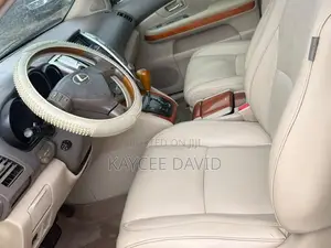 Lexus RX 330 2004 Gray