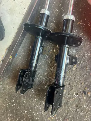 Renault Duster Shock Absorber