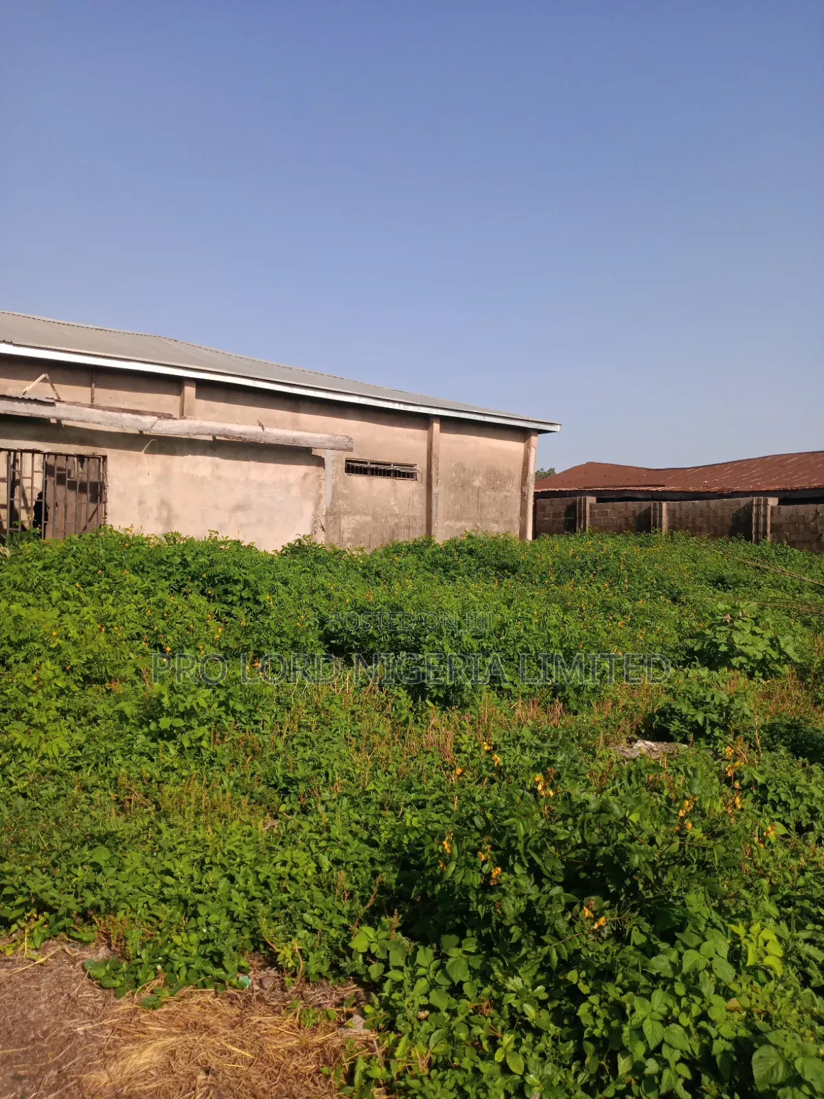 Modern Company Space