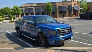 Ford F-150 2010 Blue
