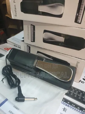 High Quality Sustain Pedal