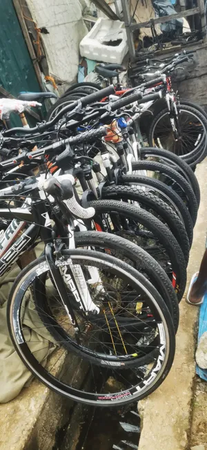 Hydrolic Adult Bicycle