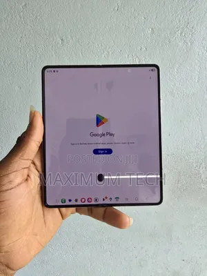 Samsung Galaxy Fold 512 GB Gray