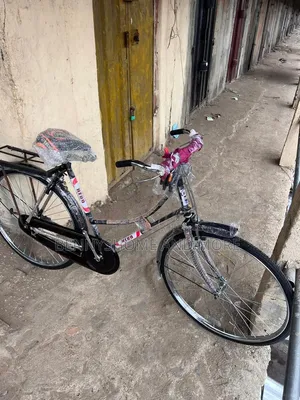 Classic Roadster Bicycle