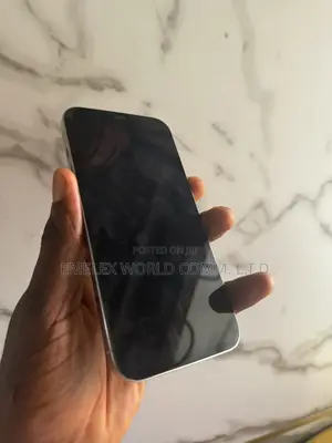 Apple iPhone 12 Pro Max 256 GB White