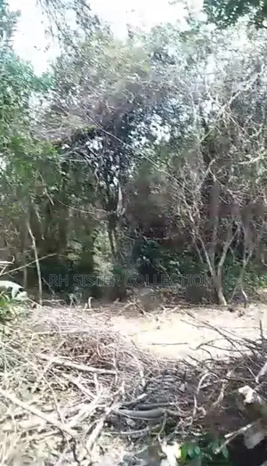 One Acre of Land at Omi Adio