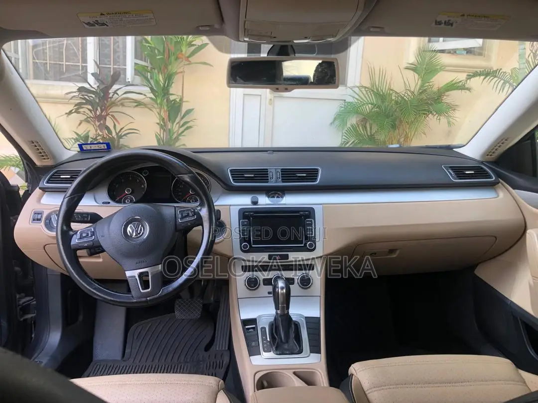 Volkswagen Passat 2014 Blue