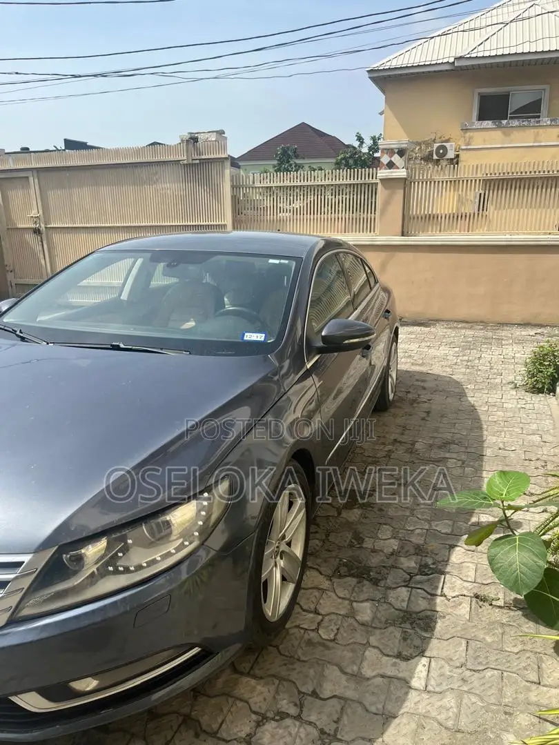 Volkswagen Passat 2014 Blue