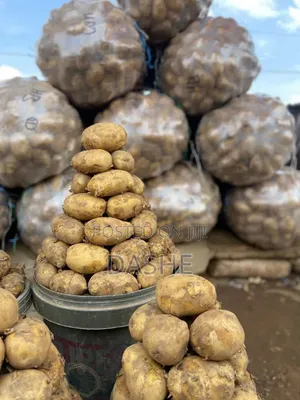 Fresh Irish Potatoes Full Bucket