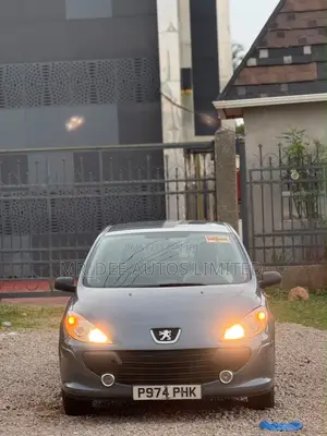 Peugeot 307 2007 Gray
