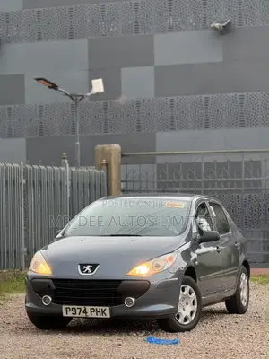 Peugeot 307 2007 Gray