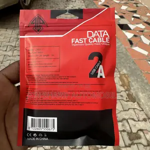 Fast Charger