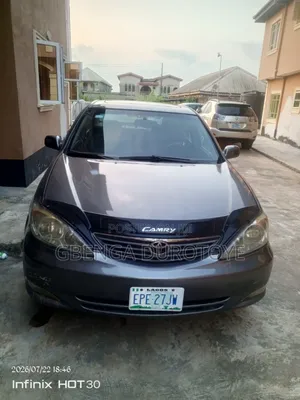 Toyota Camry 2002 Gray