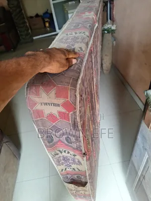 Teju Foam Mattress