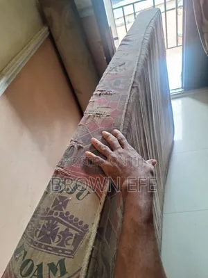 Teju Foam Mattress