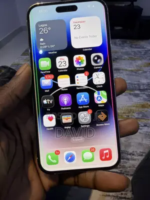 Apple iPhone 14 Pro Max 256 GB Gray