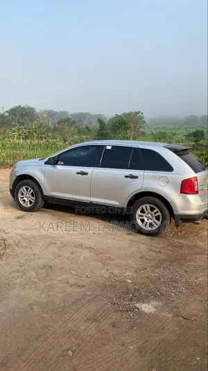 Ford Edge 2011 Silver