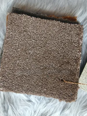 Rug for Office Space (Free Delivery)