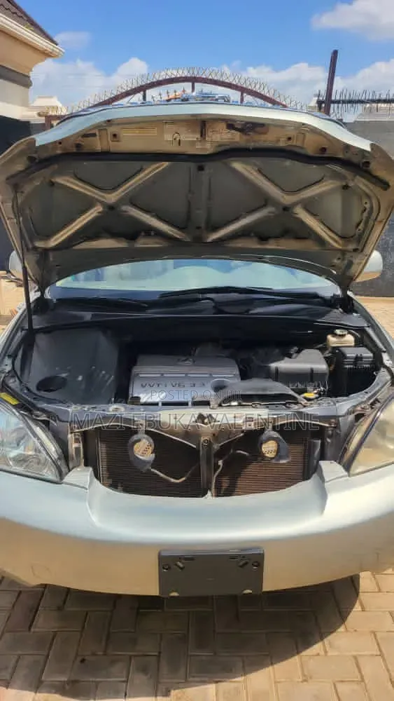 Lexus RX 2006 Silver