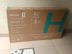 Hisense 43 Smart With Versatile Connectivity